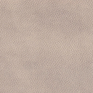 Montana 7